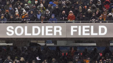 Illinois governor says progress has been made on new stadium for Bears