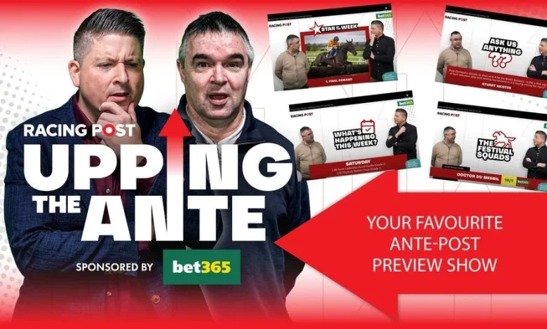 'I'm hearing he's a very smart horse' - why Johnny Dineen is backing against the Supreme big guns