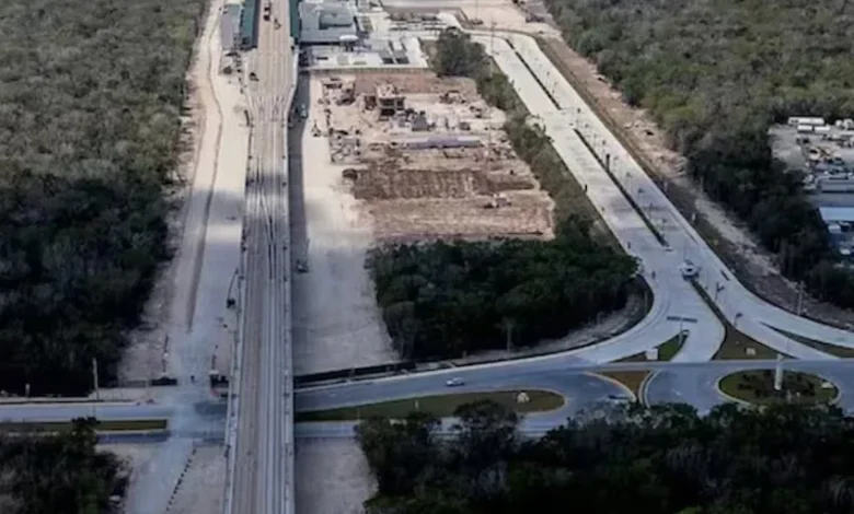 In a win for activists, judge halts work on Playa del Carmen-Tulum section of Maya Train