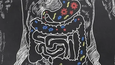 Indoor plants help create healthier, more climate-resilient buildings