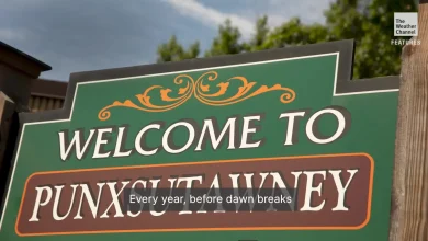 Inside The Secret Society That Cares For Punxsutawney Phil