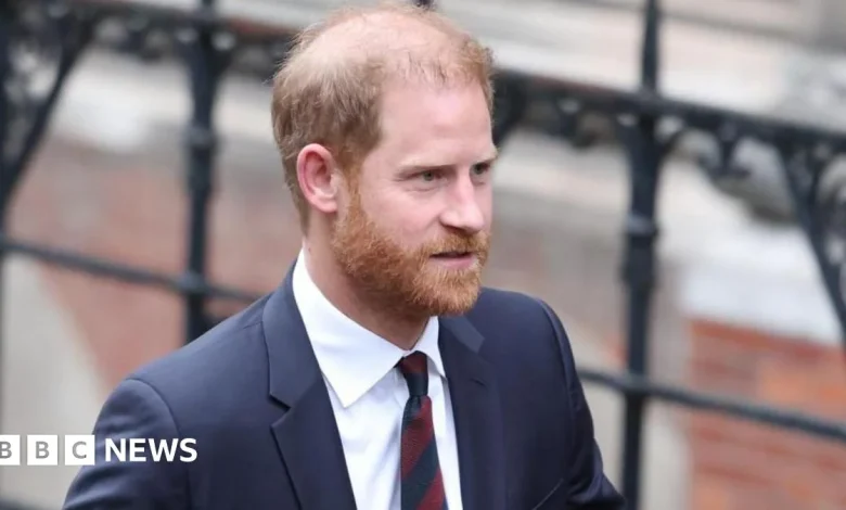 Investigator 'did unlawful stuff' regarding Harry, court hears