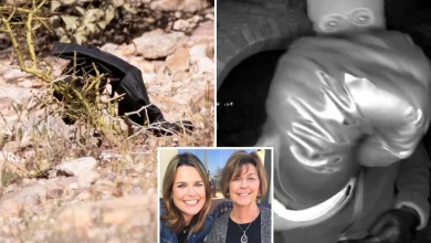 Investigators find black glove during hunt for Nancy Guthrie's kidnappers — and The Post was there