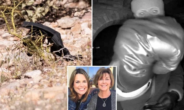 Investigators find black glove during hunt for Nancy Guthrie's kidnappers — and The Post was there