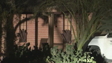 Investigators take photos inside of home of Savannah Guthrie's sister - KVOA