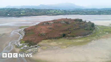 Island near Portmeirion is for sale - but you may need waders to reach it