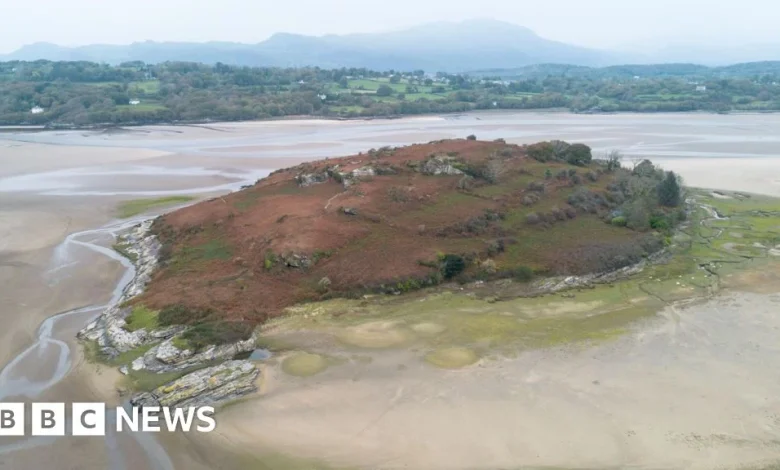 Island near Portmeirion is for sale - but you may need waders to reach it