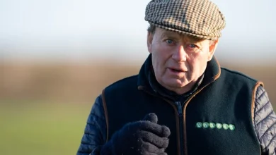 'It would have been the end of me if he got hurt' - Nicky Henderson reflects on decision to keep Constitution Hill on the Flat