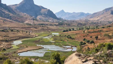 'It's Empowering': How Positive-Impact Tourism is Protecting Nature in Madagascar