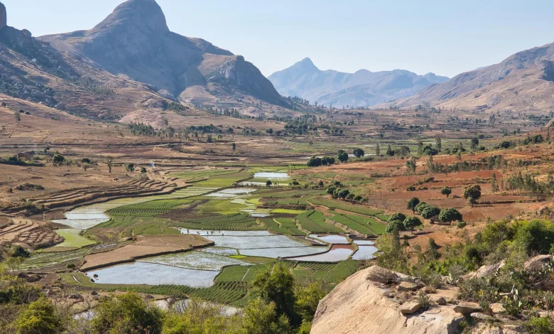'It's Empowering': How Positive-Impact Tourism is Protecting Nature in Madagascar