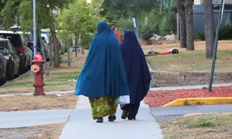 'It's hidden': Female genital mutilation and the secret shame of Minnesota's Somalis