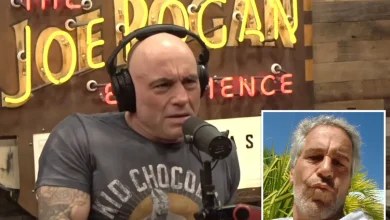 Joe Rogan blasts former podcast guest who tried introducing him to Jeffrey Epstein: 'B--ch, are you high?'