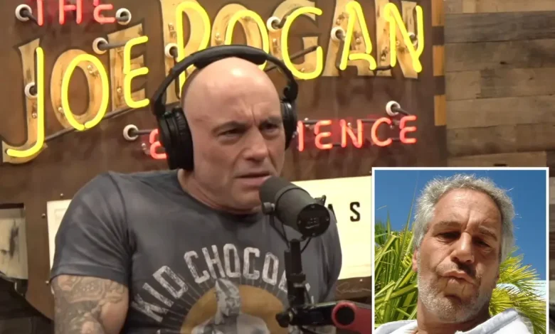 Joe Rogan blasts former podcast guest who tried introducing him to Jeffrey Epstein: 'B--ch, are you high?'