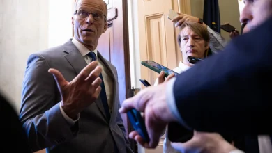 John Thune Warns That Democrats Could Flip Texas Seat