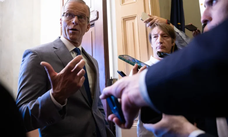 John Thune Warns That Democrats Could Flip Texas Seat