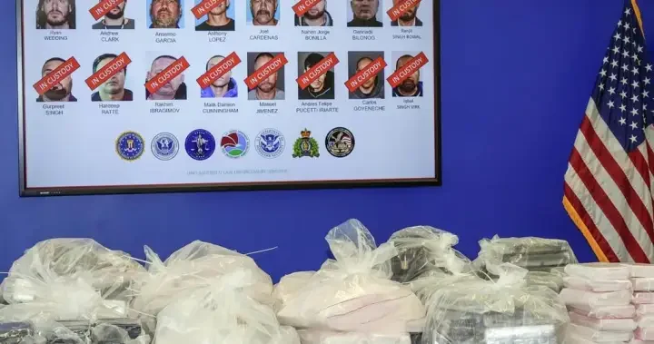 Judge denies bail for Calgary man facing extradition to U.S. in Ryan Wedding case