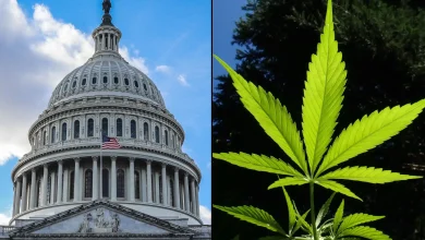 Justice Department 'Should Take About 20 Years' To Reschedule Marijuana, GOP Congressman Says