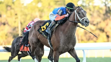 Kentucky Derby Betting Alert: Is Renegade the New Leader of the Pletcher Barn?
