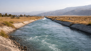 Kyrgyz MP Questions Why Uzbekistan and Kazakhstan Don’t Pay for Irrigation Water