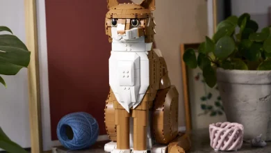 LEGO 21376 Orange Cat is a recoloured version of the Tuxedo Cat coming March 2026!
