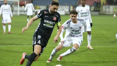 LIVE. Hermannstadt - FC Botoșani, în etapa #29 din Superliga