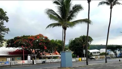 La Réunion : un ciel plus clément, mais une vigilance jaune, vents forts, de l'Ouest au Sud-Est