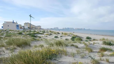 La restauración dunar en La Manga del Mar Menor inicia una defensa clave frente al urbanismo y el cambio climático