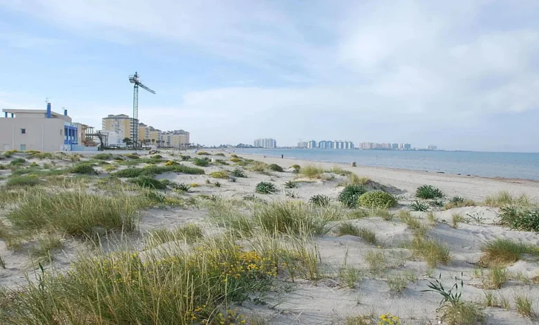 La restauración dunar en La Manga del Mar Menor inicia una defensa clave frente al urbanismo y el cambio climático