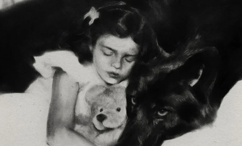 Lana Del Rey: “White Feather Hawk Tail Deer Hunter” Track Review