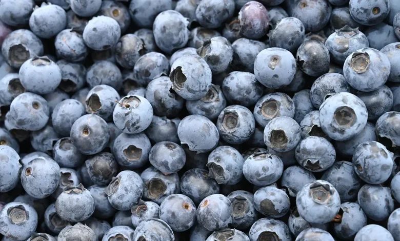 Life-threatening Listeria risk prompts massive frozen blueberry recall across multiple states