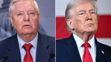 Lindsey Graham Shares Blunt Message to Those 'Nervous' About Trump’s Takeover Plans: 'Who Gives a S--- Who Owns Greenland?'