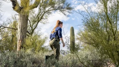 Live updates: Search for Nancy Guthrie continues into 12th day