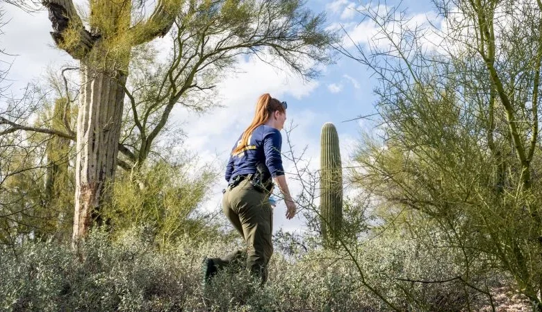 Live updates: Search for Nancy Guthrie continues into 12th day