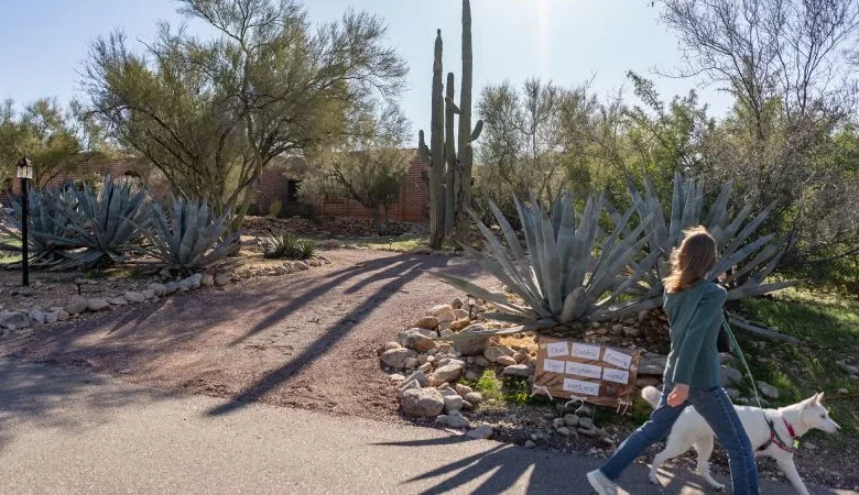 Live updates: The search for Savannah Guthrie’s missing mother Nancy