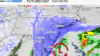 Live updates as nor'easter forces NYC, Tri-State Area travel bans ahead of blizzard conditions