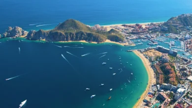 Loaded guide to Tenerife