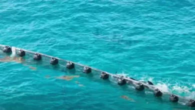 Marina says over half of 9,500 meters of planned sargassum barriers installed off coast of Quintana Roo