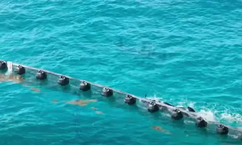 Marina says over half of 9,500 meters of planned sargassum barriers installed off coast of Quintana Roo