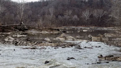 Massive sewage spill into Potomac River: What’s in the water, what are the risks rise as ice melts?