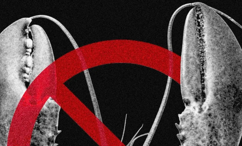 Meta and Other Tech Firms Put Restrictions on Use of OpenClaw Over Security Fears