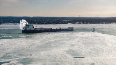 Metro Detroit warms up as polar vortex retreats; will it return?