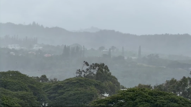 Monday Weather | Strong winds and heavy rain continue statewide