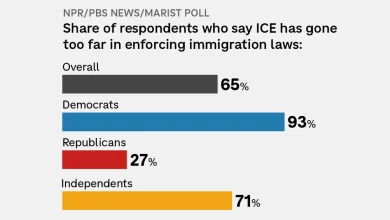Most Americans say ICE has 'gone too far' in immigration enforcement : NPR