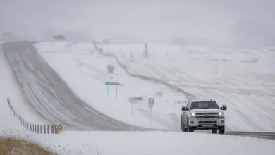 Much of Alberta could see 10 to 20 cm of snow this week