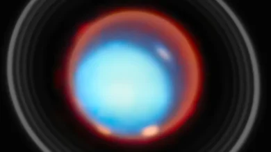 NASA's Webb telescope unveils details about strange auroras on Uranus