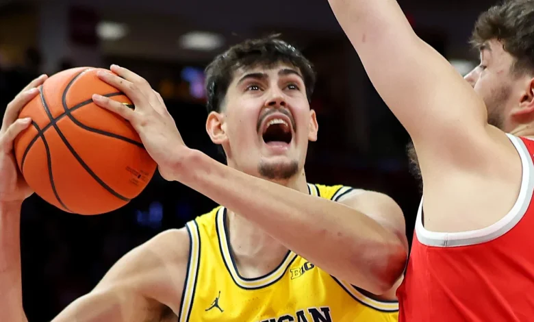 NBA Draft Scouting Report: Michigan Center Aday Mara