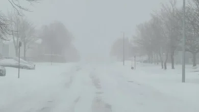 NL Schools Pre-emptively Closes Schools in Metro Ahead of Storm