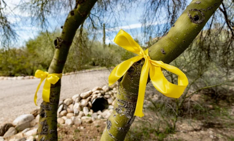 Nancy Guthrie live updates: 'It's never too late,' Savannah Guthrie says in new plea