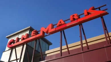 Netflix Needs To Take "More Action" To Prove Its Movie Theater Love, Cinemark CEO Says