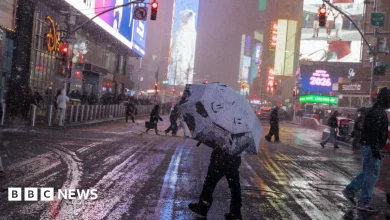 New York City bans most travel as blizzard hits, with thousands of flights cancelled across US